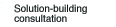 Solution-building consultation 